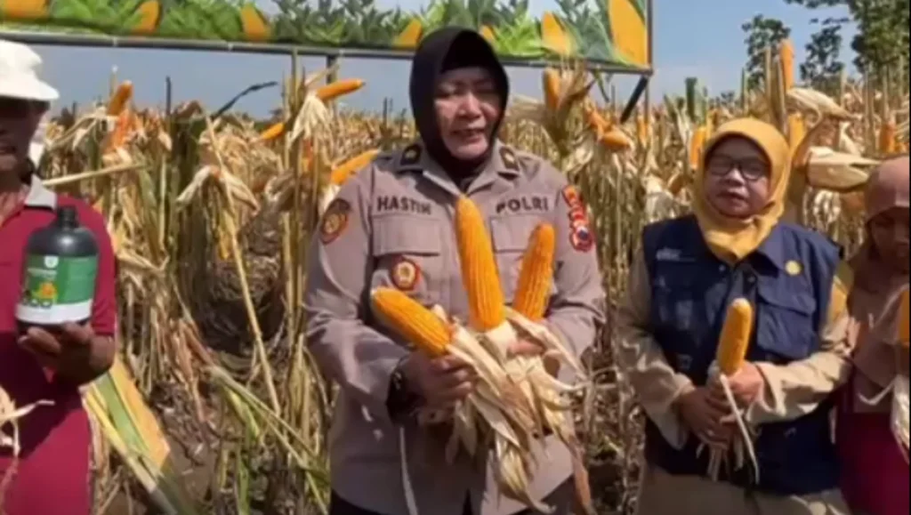 Testimoni-Penggunaan-Khoshban